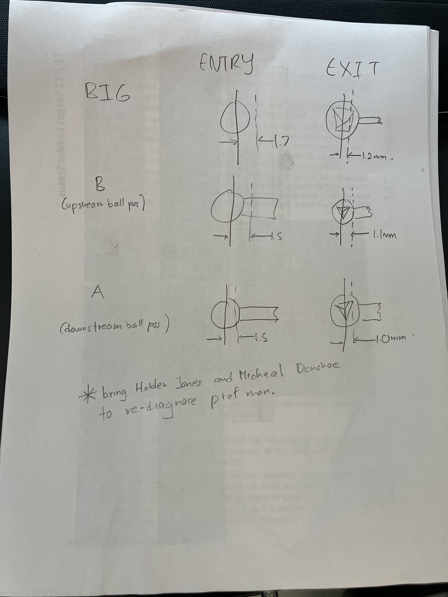 IMG_2292.JPEG